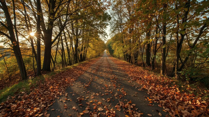 Naklejka premium Autumn country lane lined with trees and fallen leaves under warm sunlight