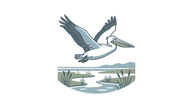 A detailed illustration of a pelican in flight with wings spread wide.