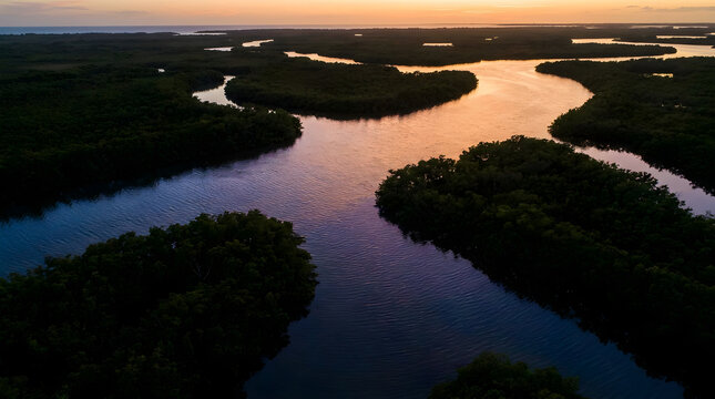 Aerial Remote Sensing imagery of winding river channels in a dense mangrove swamp at sunset