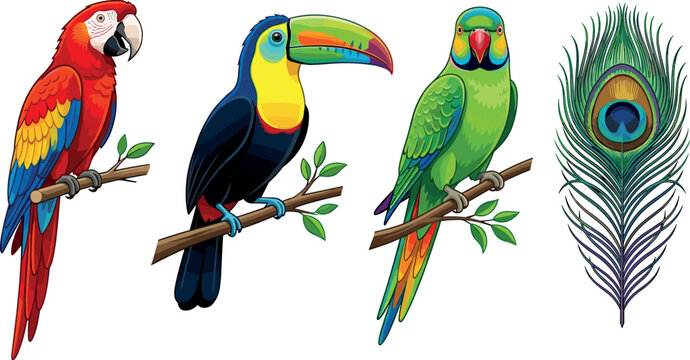 Tropical Exotic Birds Vector Set Featuring Scarlet Macaw Toucan Rose Ringed Parakeet And Peacock Feather Elements For Jungle Fauna Wildlife Designs