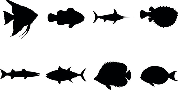 Collection of black fish silhouettes including angelfish swordfish tuna pufferfish and diverse marine sea life