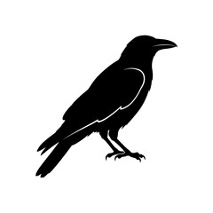Fototapeta premium Black Crow Silhouette, Bird Icon, Vector Graphic, Wildlife Illustration isolated on White Background silhouette