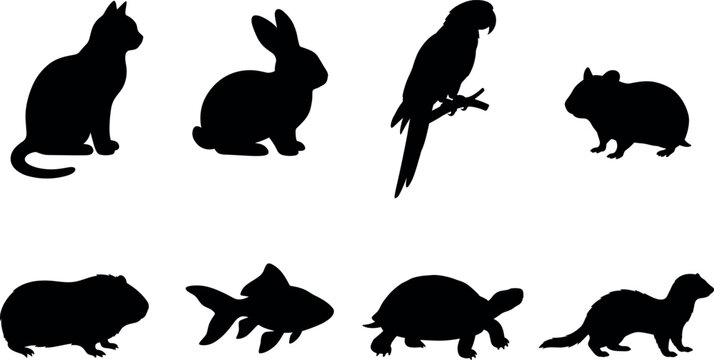 Silhouette of common household pets including cat rabbit parrot and turtle