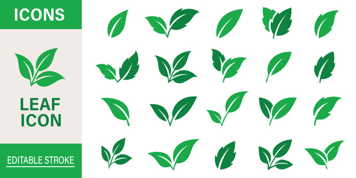 Leaf sprout icon vector set, green leaves plant eco logo symbol simple graphic illustration set, vegan fresh herb pictogram shape sign, organic natural healthy logotype eps 10