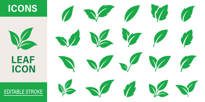 Leaf sprout icon vector set, green leaves plant eco logo symbol simple graphic illustration set, vegan fresh herb pictogram shape sign, organic natural healthy logotype eps 10