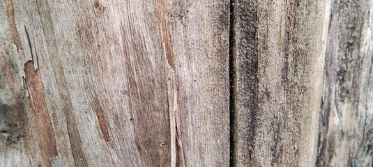 Texture of weathered wooden planks with natural grain © STP PICTURE