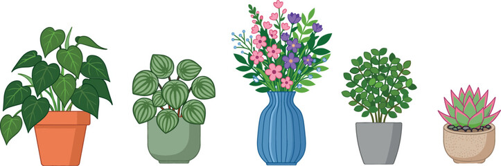 Philodendron, Peperomia, Flower Bouquet, Jade Plant, and Succulent Houseplant Set in Colorful Pots for Home Decor Designs © MdSohanurRahman