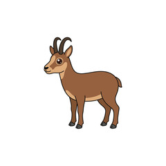 Fototapeta premium Vector illustration of cute brown ibex standing on white background.