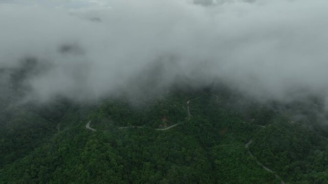 Sustainable mobility concept shown through a scenic road winding across a thriving forest canopy, ideal for environmental reports, net zero communication, and ESG branding.