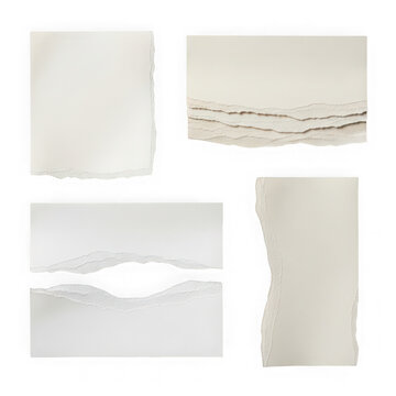 Assorted torn paper sheets isolated on transparent ground