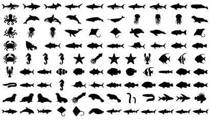 Sea Creature Silhouette Collection with Marine Life and Ocean Animal Icons © MstMomena