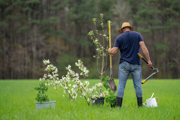 Gardener farmer working in spring garden. Gardener in garden with shovel. Mature gardener cultivating land. Mature farmer in orchard. Worker gardener planting seedling. Growing plants in backyard. © Volodymyr