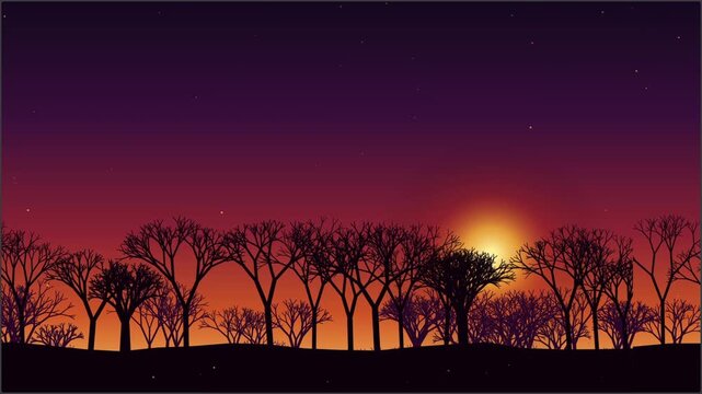 Silhouetted Trees Against Fiery Sunset Sky with Subtle Stars