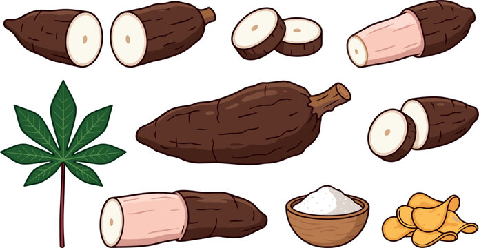 PrintCassava Root Vector Illustration Set Featuring Whole Slices Green Leaf Tapioca Flour Bowl And Crispy Chips On White Background