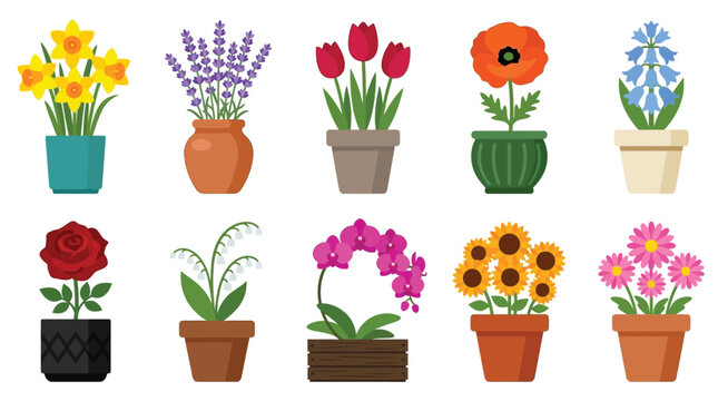 Assorted Flowers In Pots Flat Vector Illustration On White Background