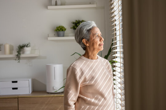 Senior woman window sunlight home portrait, calm elderly Asian female standing by window blind in bright room with plant, shelf, cabinet, and soft natural light