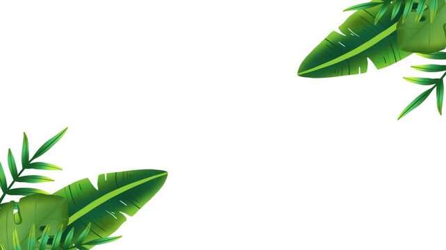 tropical leaves background animation on white background