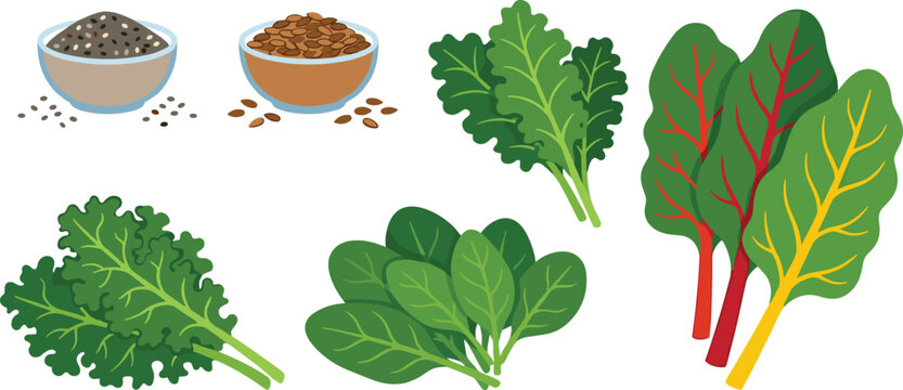 Healthy leafy greens and seeds vector illustration set with fresh kale chard spinach leaves flax and chia seed bowls