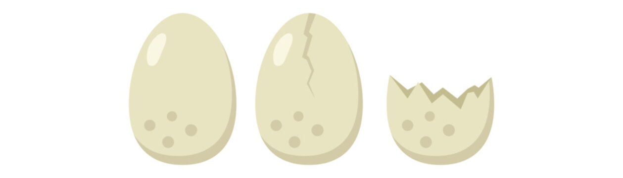 Three stages of a dinosaur or bird egg from whole to cracked and hatched shell.
