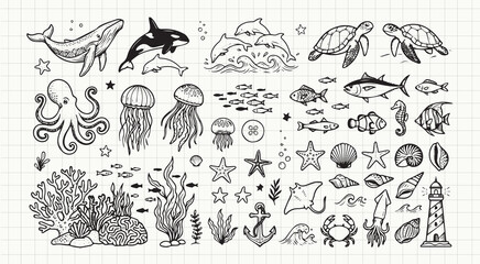 Fototapeta premium Underwater scene with various sea creatures and plants.