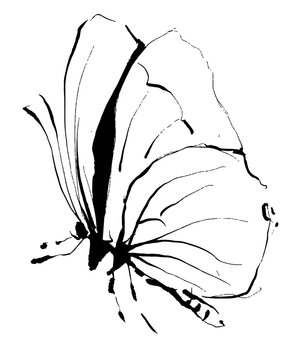 Aesthetic butterfly png sticker, insect illustration, transparent background