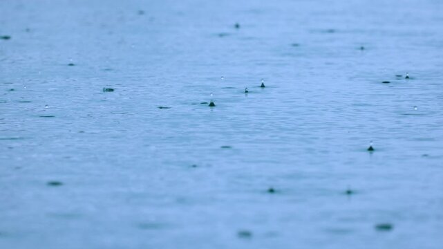 Rain falling on water creates mesmerizing ripples and splashes in slow motion. Droplets bounce upward from calm blue surface as precipitation disturbs the tranquil pond. Cinematic rainy weather scene.