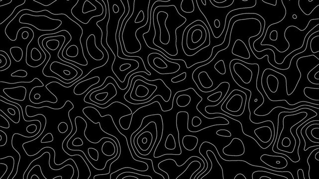 Abstract topographic contour map concept, cartography geographic terrain pattern design, topo wavy black and white mountain surface, liquid line art background animation