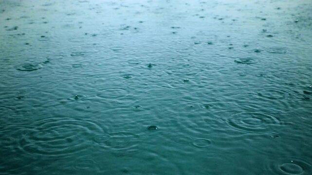 Rain falling on water creates mesmerizing circular ripples across a teal pond surface. Slow motion captures each droplet impact forming expanding concentric circles in this calming rainy day scene.