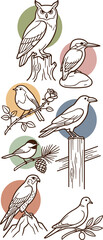 Vintage Hand Drawn Songbird Collection with Owl Kingfisher Sparrow Chickadee Finch and Perching Woodland Birds Vector Illustration Set © MstSuborna