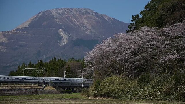桜咲く伊吹山麓を走る東海道新幹線N700S（東海道新幹線 岐阜羽島 - 米原, 2026年4月）