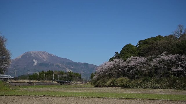 桜咲く伊吹山麓を走る東海道新幹線N700S（東海道新幹線 岐阜羽島 - 米原, 2026年4月）