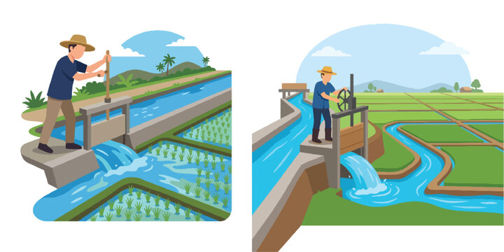 A flat design illustration of an irrigation officer opening a sluice gate to let water into a rice field. Minimalist, simple shapes, no outline, white background.