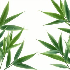 Fototapeta premium multiple green bamboo leaves and slender stems framing a white background, fresh calm minimal botanical composition