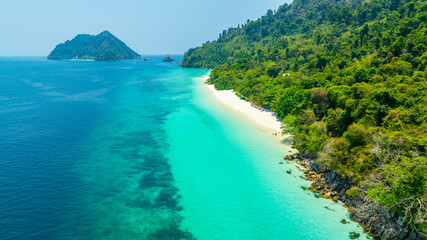 Fototapeta premium Aerial view of a dense, vibrant green coastal jungle meeting dark blue ocean water. A thin, rocky beach and white foamy waves separate the rugged terrain from the sea.concept 