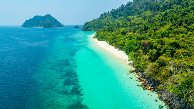 Aerial view of a dense, vibrant green coastal jungle meeting dark blue ocean water. A thin, rocky beach and white foamy waves separate the rugged terrain from the sea.concept	