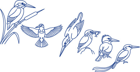 Naklejka premium Hand Drawn Kingfisher Outline Collection Featuring Perching Diving Flying and Hunting River Birds Wildlife Vector Illustration Set