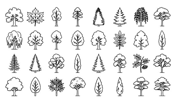 Woodland Trees Mega Pack Line Art Vector Collection with Forest Tree Outline Set