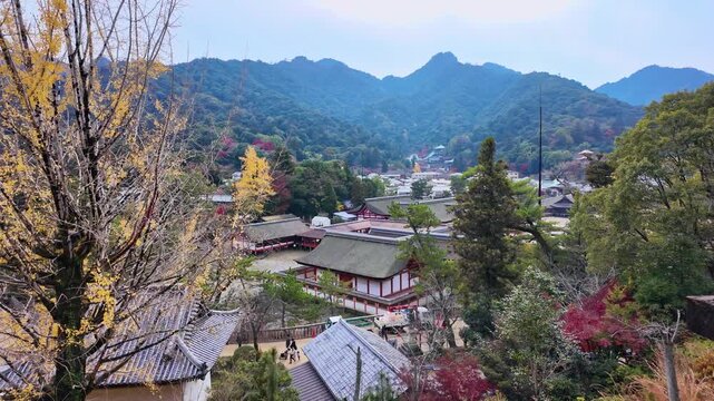 山中の寺社の風景