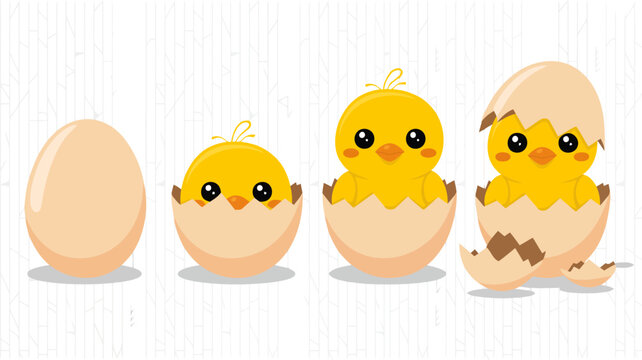 Sequence of a yellow chick hatching from an egg in cartoon style chicken baby animal