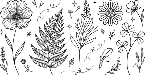 Botanical floral doodle vector set with wild flowers fern leaf daisy lavender clover and garden plant line art © MdMursalin