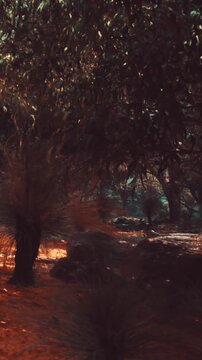Plants and rocks are present in a forest setting. Sunlight filters through the trees, creating shadows on the ground. The area appears lush with greenery and earthy tones.