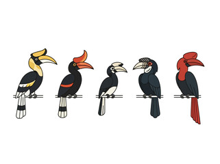 Fototapeta premium A collection of five distinct hornbill bird species illustrated in a colorful cartoon style.