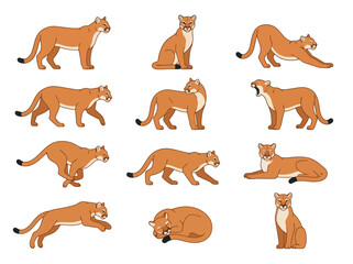 Obraz premium A collection of mountain lion illustrations in various poses and actions.