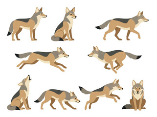 Obraz premium A collection of coyotes in various poses and actions.