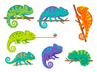 Obraz premium A collection of colorful cartoon chameleons in various poses and vibrant patterns.