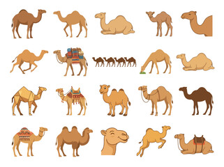 Obraz premium A collection of various camel illustrations in different poses and styles.
