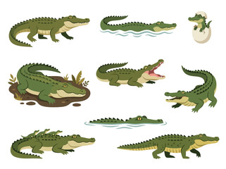 Fototapeta premium A collection of various cartoon crocodiles and alligators in different poses and actions.