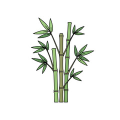 Fototapeta premium Green Bamboo Stalks with Leaves