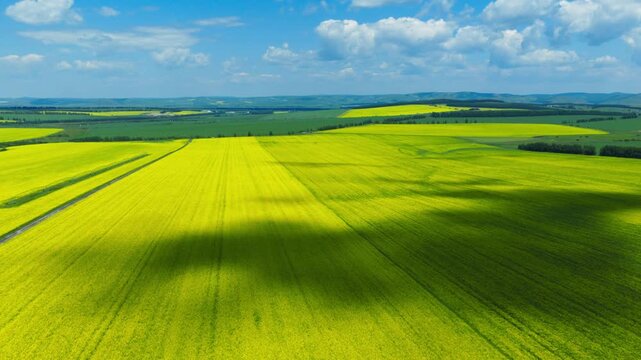 Aerial view of patchwork green-yellow farmlands under blue sky