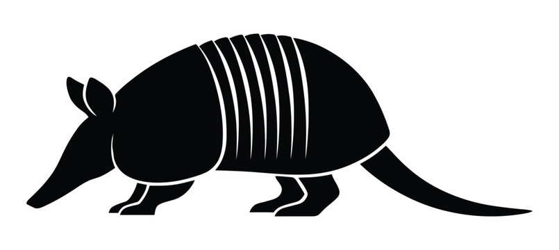 armadillo icons in different styles. Stylized armadillo icon with bold flat shapes and clean edges isolated on a white background wildlife design concept. 